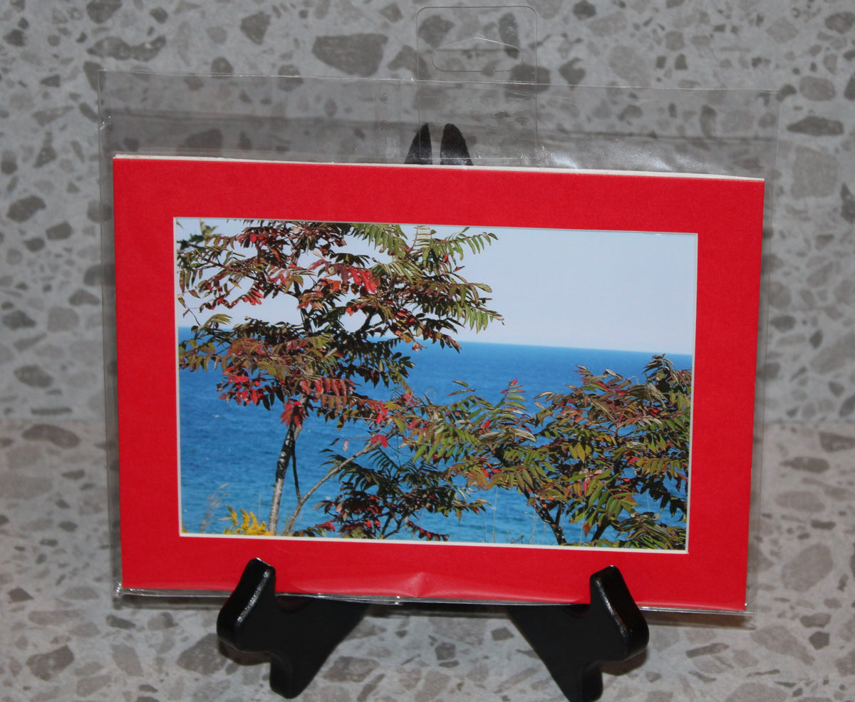 Fall Colors Over Lake Michigan (5x7)