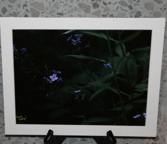 Beauty in Darkness #4