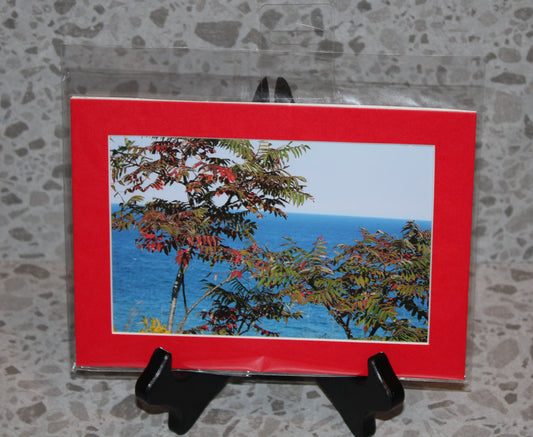 Fall Colors Over Lake Michigan (5x7)