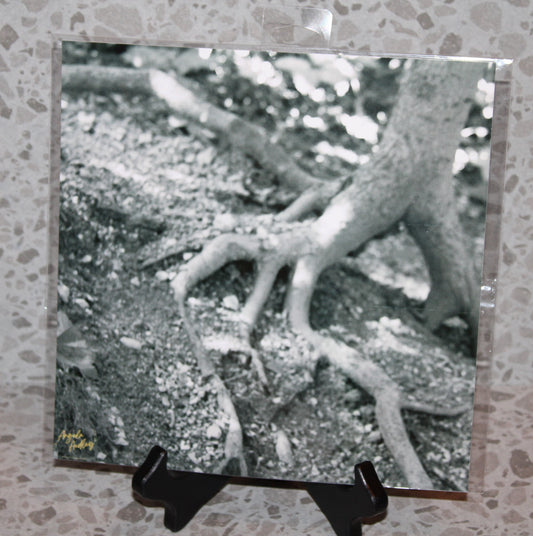 The Walking Tree (8x8)