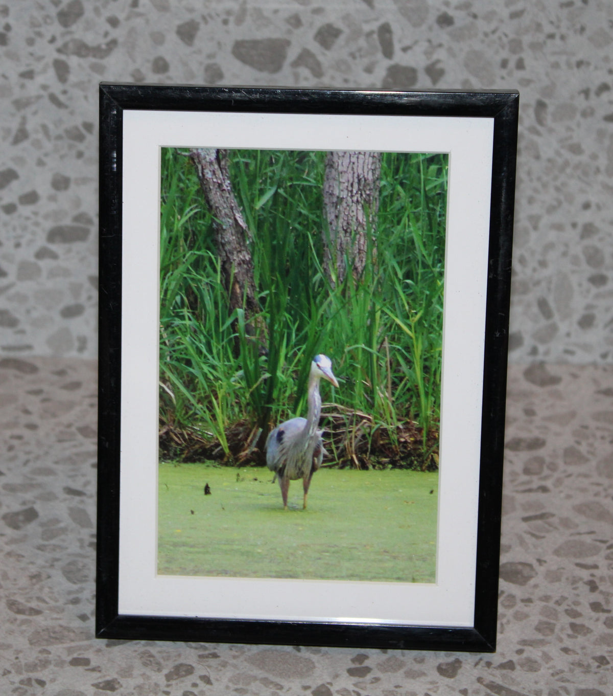 Mystery Prints with Frame