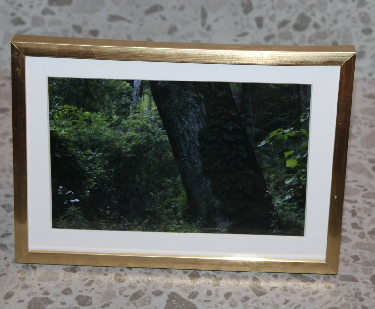 Mystery Prints with Frame