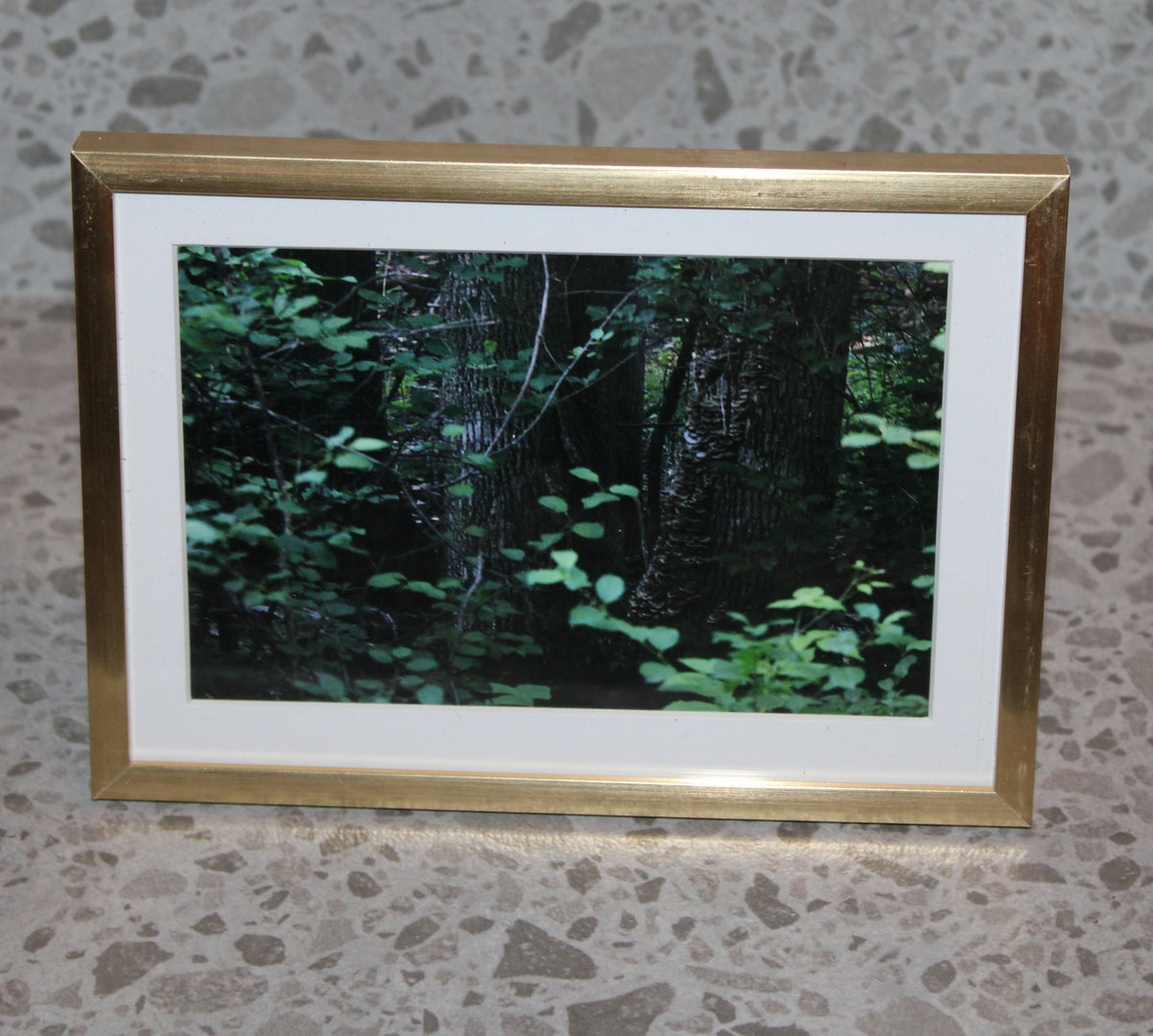 Mystery Prints with Frame