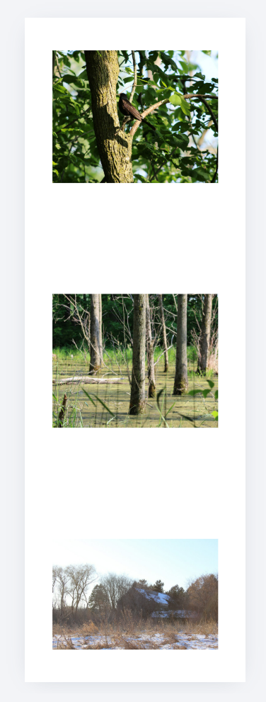 Bookmark Subscription October Designs