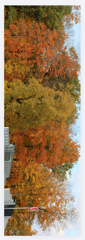 Bookmark Subscription October Designs